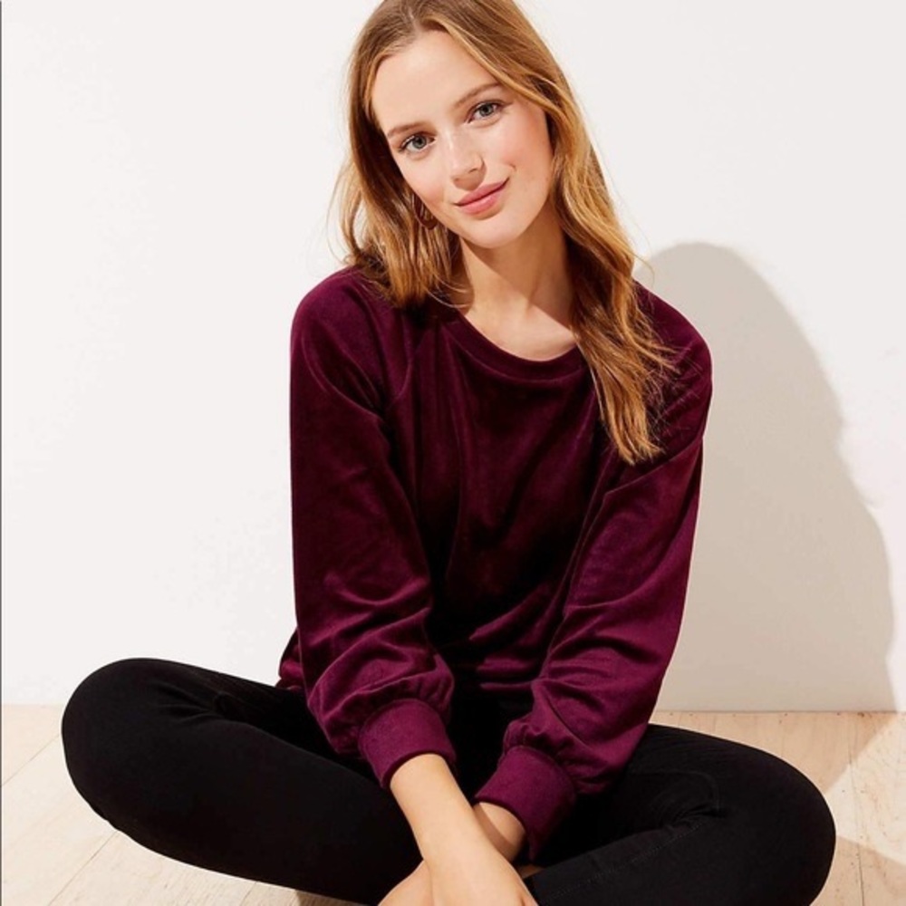 LOFT Velvet Sweatshirt